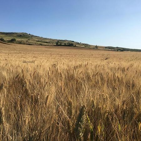 Gibbesi Country Farm Piccolo Cottage Naro Экстерьер фото